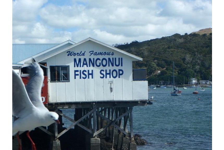 Mangonui Motel - Property Photo