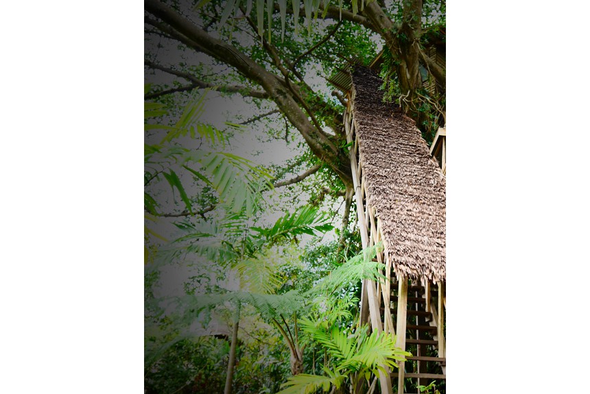 Tanna tree top lodge - Property Photo