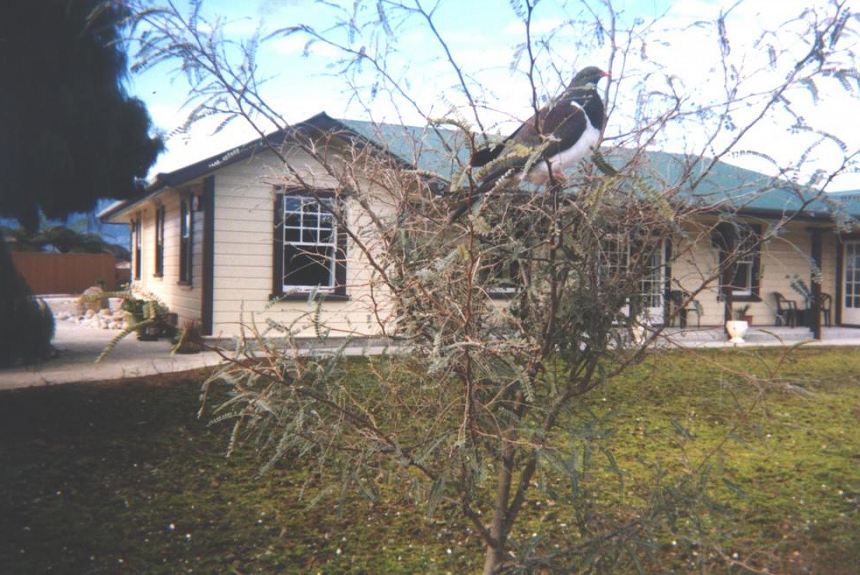Karamea Village Hotel - Property Photo